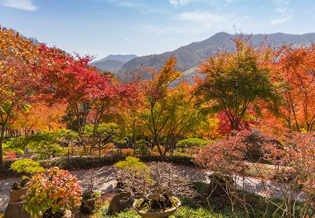 2025 화담숲 예매 지금 바로 하면 할인?! 2 2025 화담숲 예매 방법